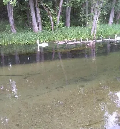 U Wioli I Irka , U Beaty Farmház *