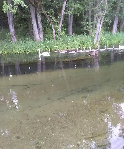 U Wioli I Irka , U Beaty Farma *